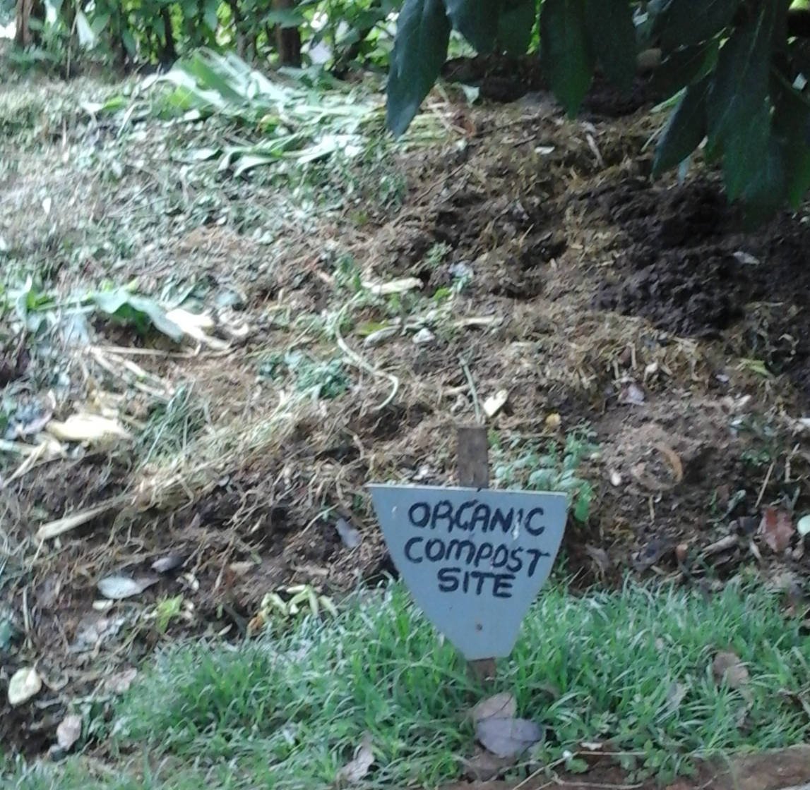 Coffee sourcing
